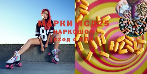 индика Армянск