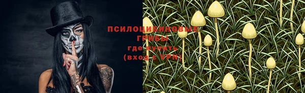 дмт Алзамай