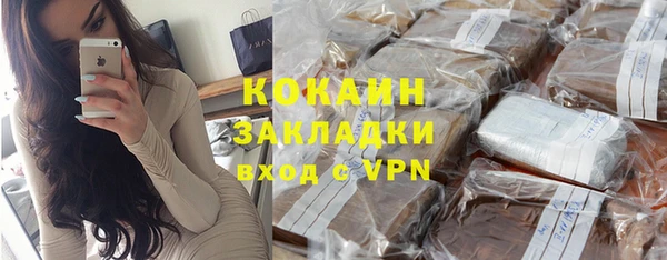 индика Армянск