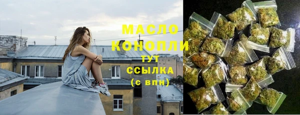 индика Армянск