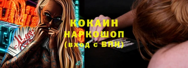 индика Армянск
