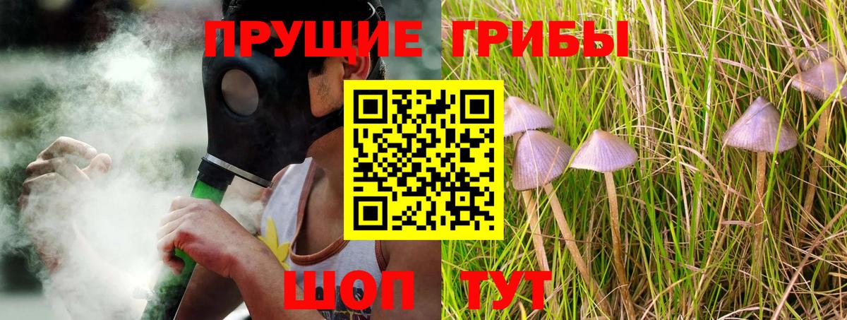 Псилоцибиновые грибы мицелий Саянск